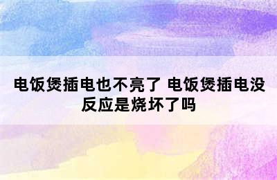 电饭煲插电也不亮了 电饭煲插电没反应是烧坏了吗